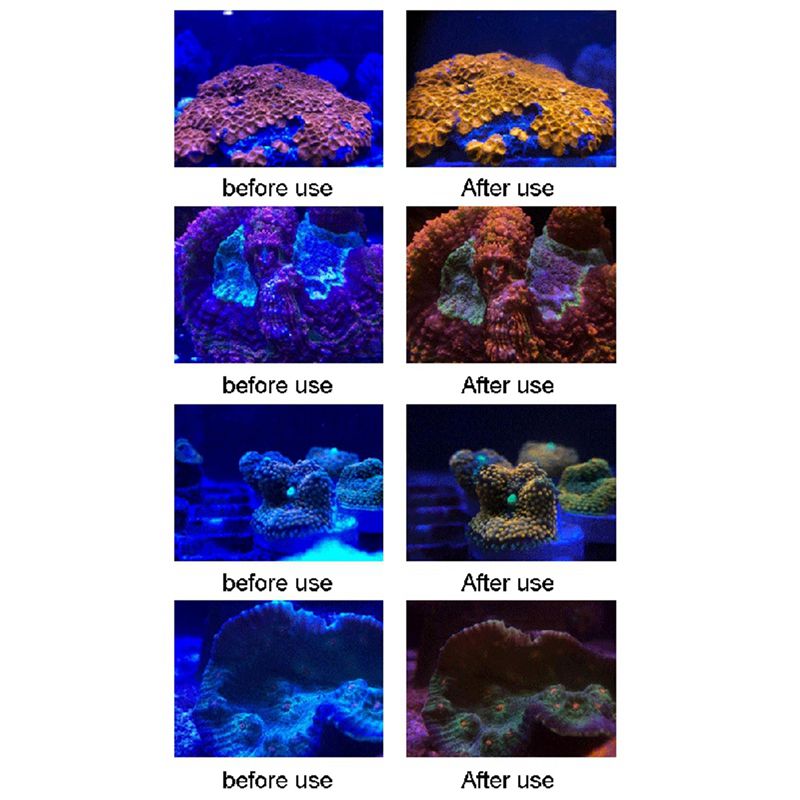 4X水槽レンズ魚タンク用スマホカメラレンズフィルター6in1 - Photography Yellow Filter のレビューと価格