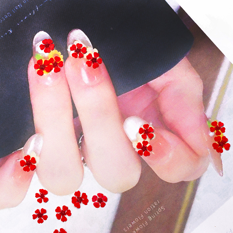 96個入り ミニ1.5cm 天然押し花 カラフルで鮮やかなパ - Photography Graduation のレビューと価格