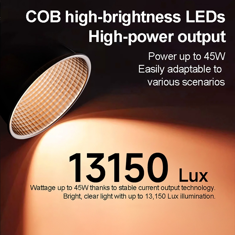 60W RGBビデオライト ポータブルLED撮影スタジオライ - Photography Treatment のレビューと価格